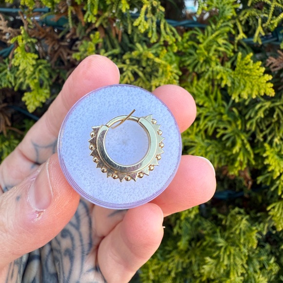 BVLA Horizon Clicker - Picture 4 of 4